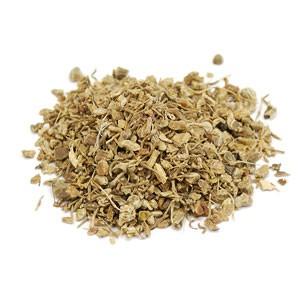 Blue Cohosh - Christopher's Herb Shop